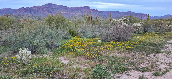 Don Donnelly's D-spur Ranch and Stables